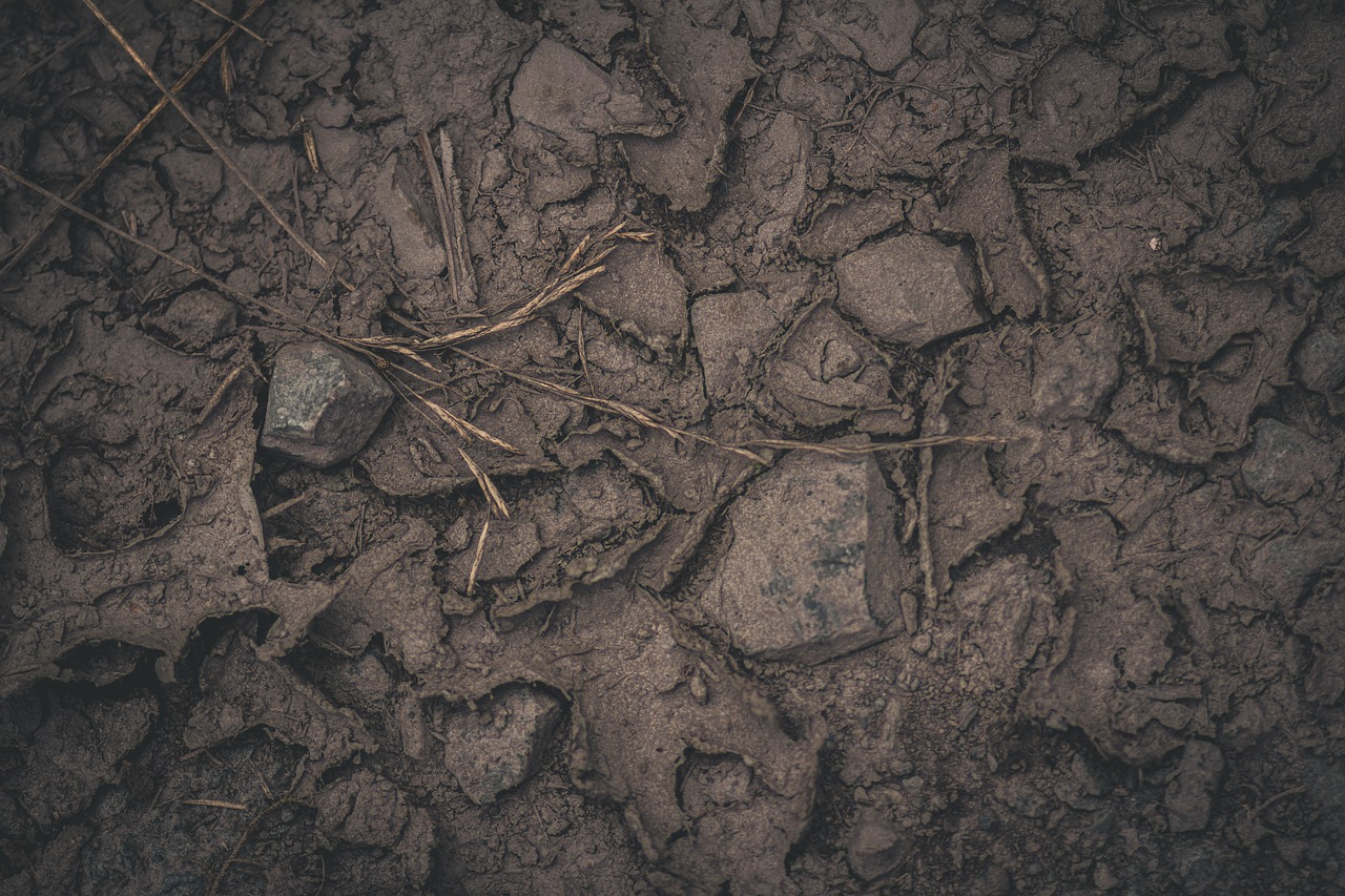 earth